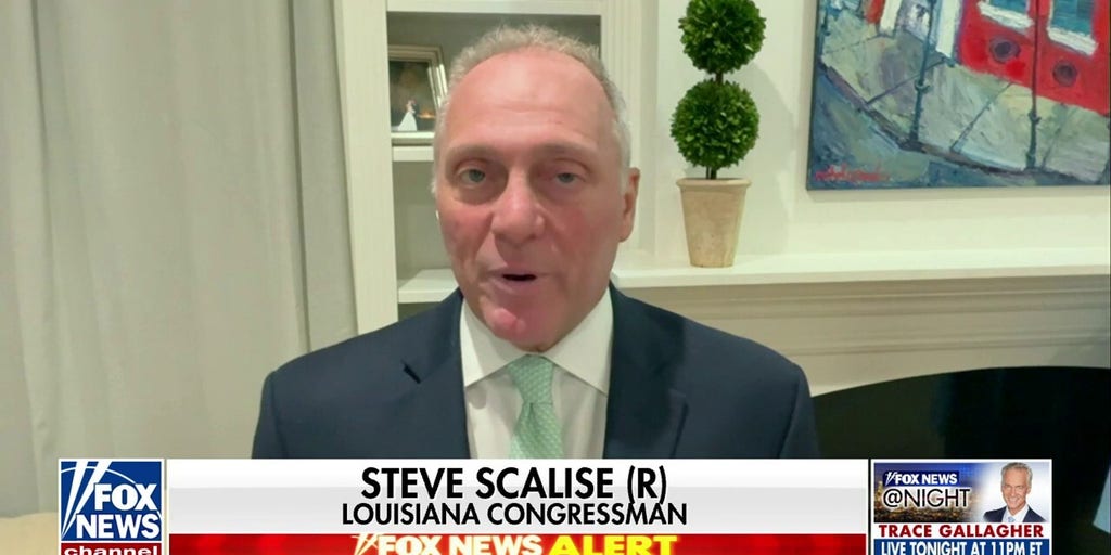 Steve Scalise: It's 'very telling' the leaders of the Democratic Party have not endorsed Harris | Fox News Video