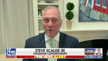 Steve Scalise: It's 'very telling' the leaders of the Democratic Party have not endorsed Harris