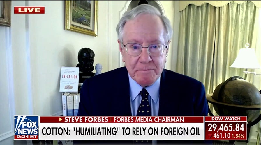 Steve Forbes says Biden admin turning to ‘filthy’ foreign oil options amid rising gas prices