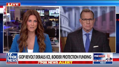 GOP revolt over anti-weaponization fund derails ICE, CBP funding