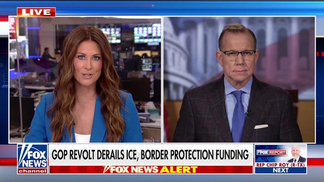 GOP revolt over anti-weaponization fund derails ICE, CBP funding