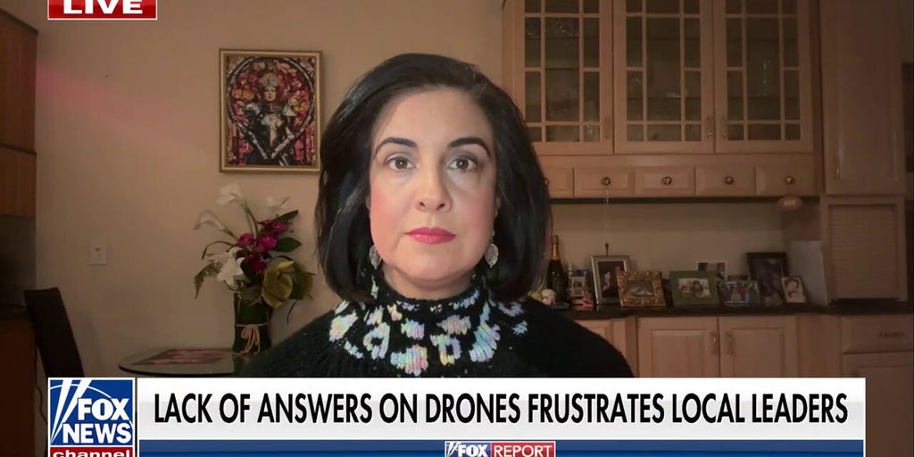 Rep. Malliotakis suggests source of drone activity is US government