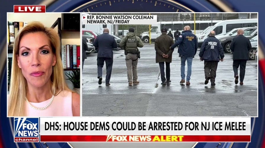 Storming of New Jersey ICE facility was meant to cause ‘disorganization’: GOP lawmaker