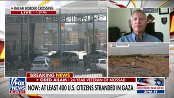 Hamas 'stunned' and 'overwhelmed' by the 'amount of force' in war with Israel: Oded Ailam