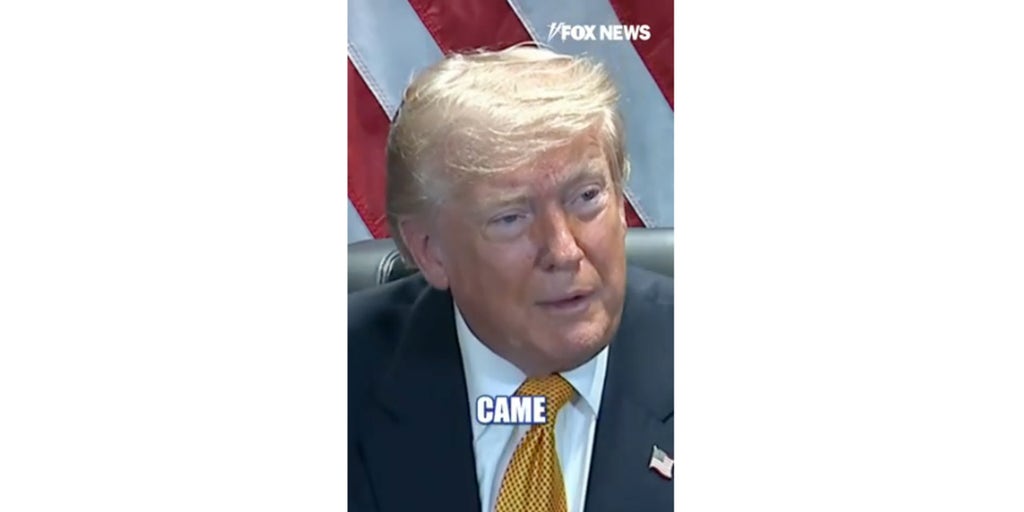 Trump claims he is number one on TikTok at NATO Summit