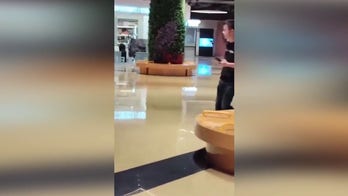 100 huskies get loose in Chinese shopping mall