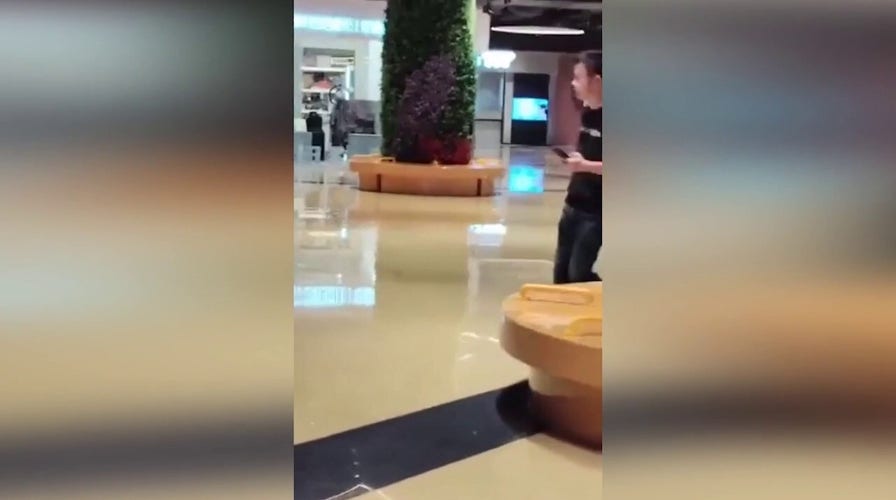 100 huskies get loose in Chinese shopping mall