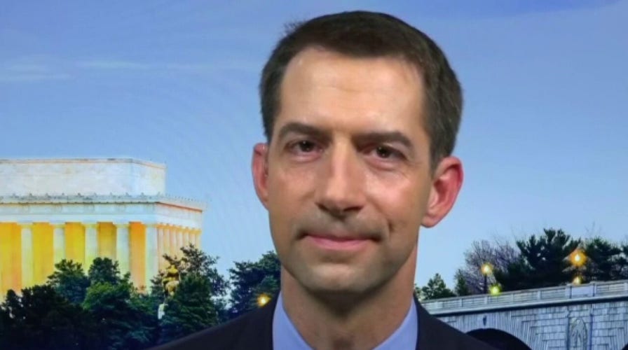 Sen. Cotton: China knew an outbreak was happening in December