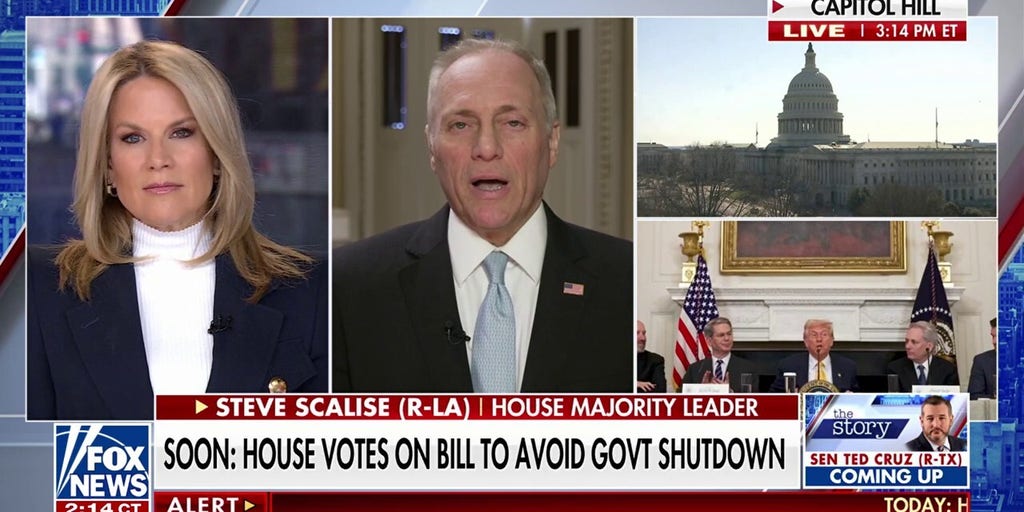 Dems want to 'have it both ways' by blaming GOP for shutdown, House Majority leader argues