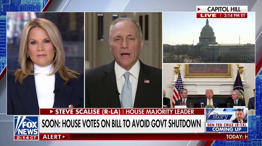 Dems want to 'have it both ways' by blaming GOP for shutdown, House Majority leader argues
