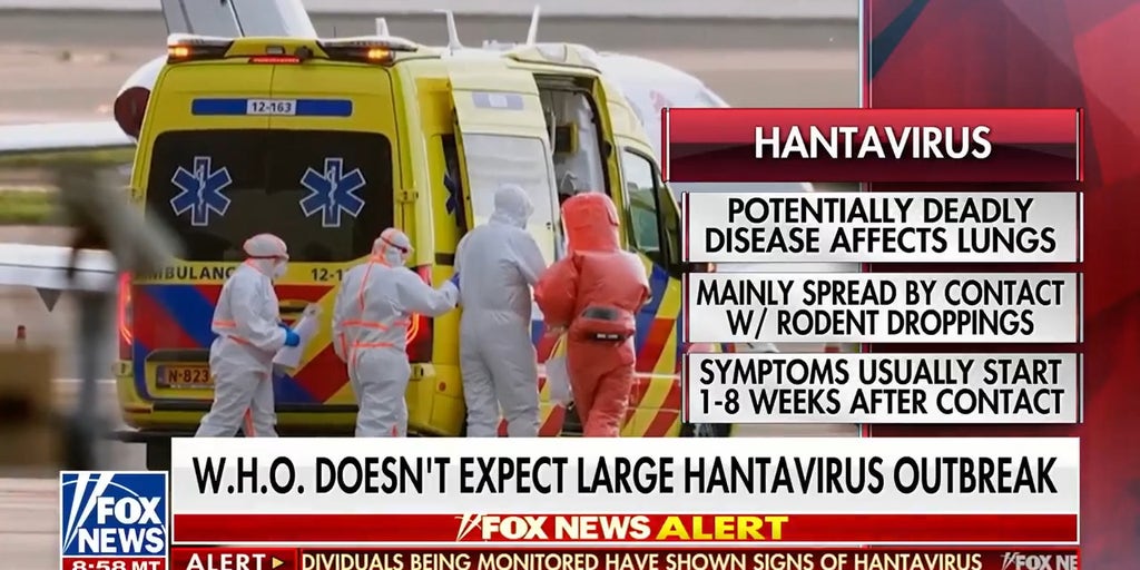 WHO doesn't expect large Hantavirus outbreak