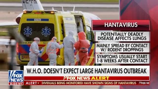 WHO doesn't expect large Hantavirus outbreak