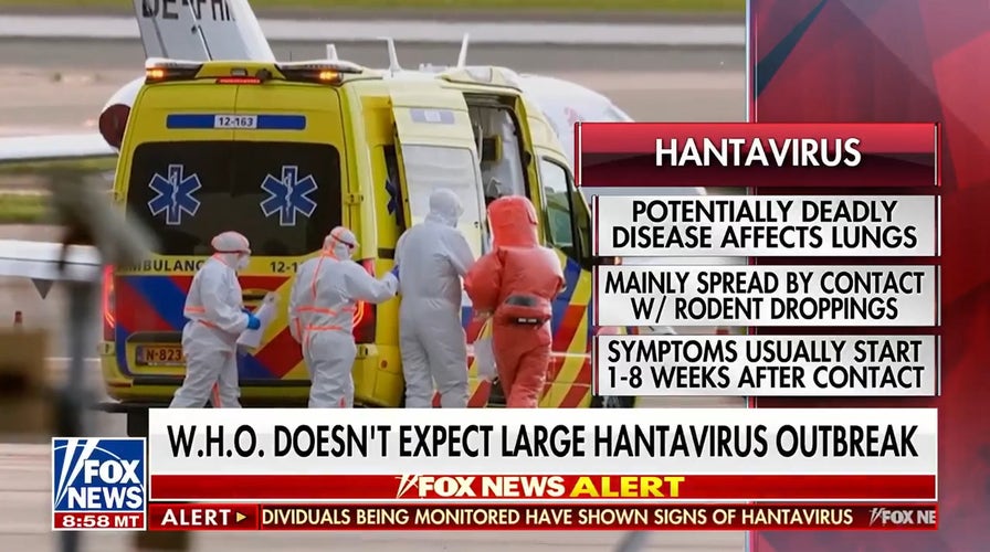 WHO doesn't expect large Hantavirus outbreak