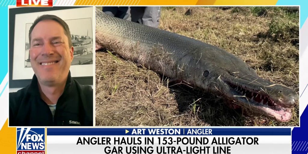 Angler hauls in 153-pound alligator gar using ultra-light line