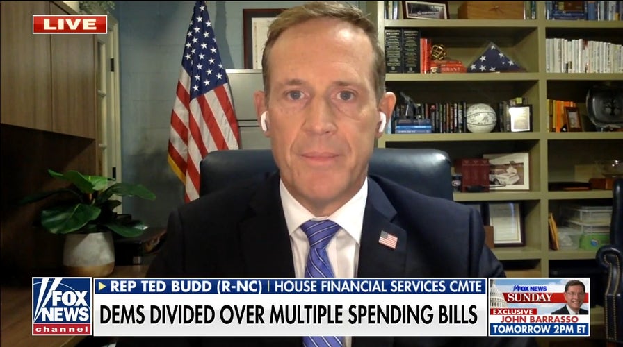  Infrastructure bill is a 'Trojan horse' for more socialism: Ted Budd