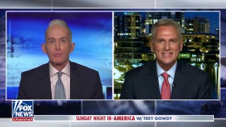 House Republicans need to work as a team, says Kevin McCarthy - Fox News