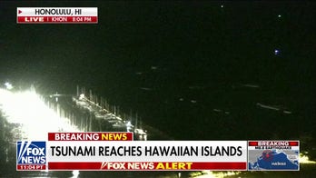 Tsunami waves reach Hawaii after earthquake strikes Russia