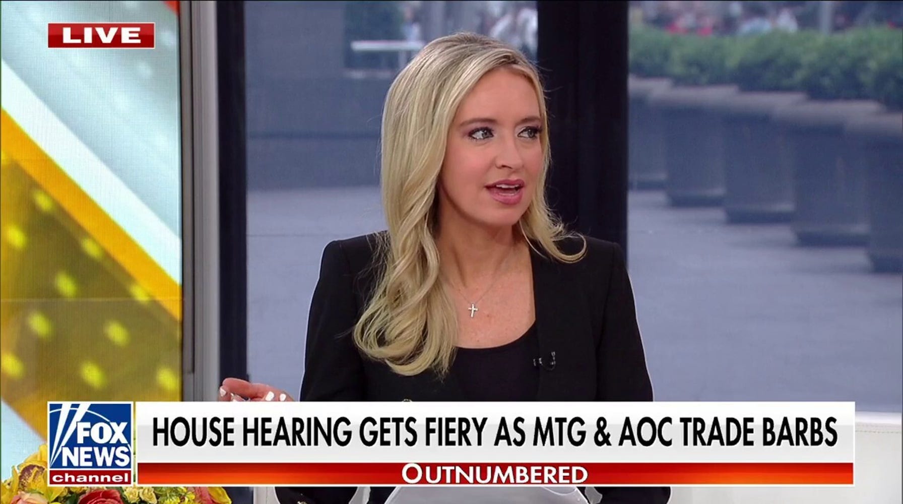 Outnumbered Panel Expresses Dismay over Chaotic House Hearing