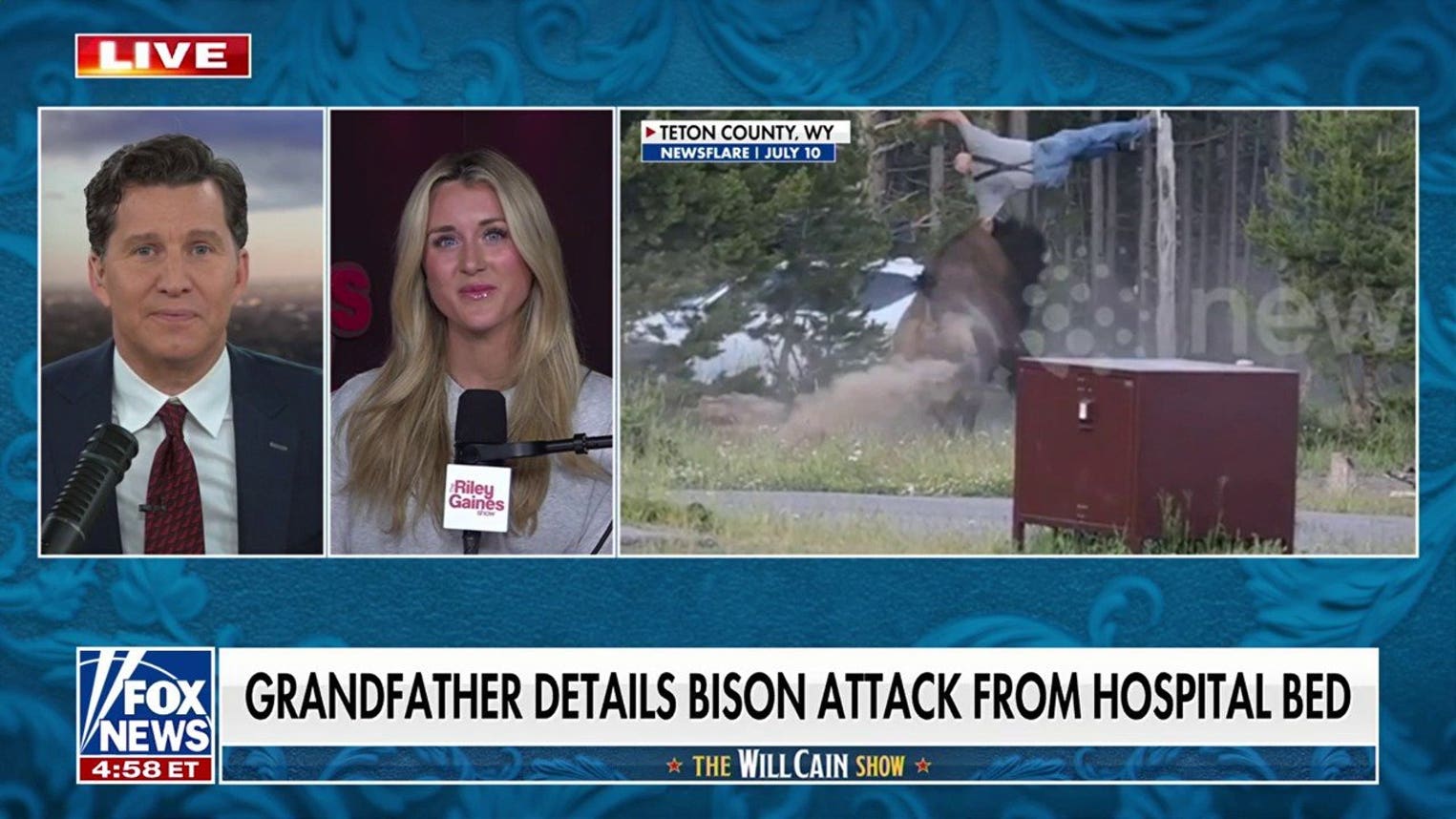 These bison are HUGE: Riley Gaines