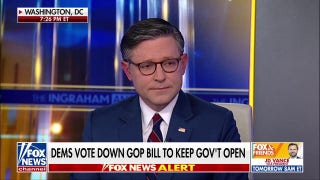 Speaker Johnson says Schumer is stopping a 'simple, clean resolution' for 'raw, political purposes'
