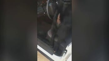 Goat eatings officer's paperwork