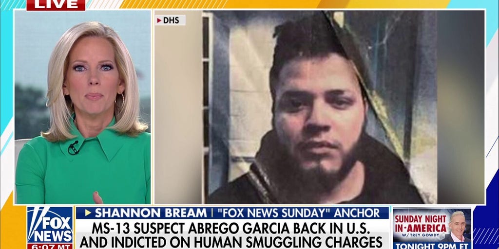 Kilmar Abrego Garcia's allegations are 'very broad,' Shannon Bream says