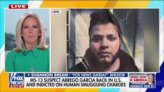 Kilmar Abrego Garcia's allegations are 'very broad,' Shannon Bream says