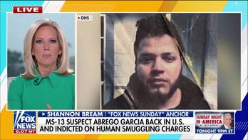 Kilmar Abrego Garcia's allegations are 'very broad,' Shannon Bream says