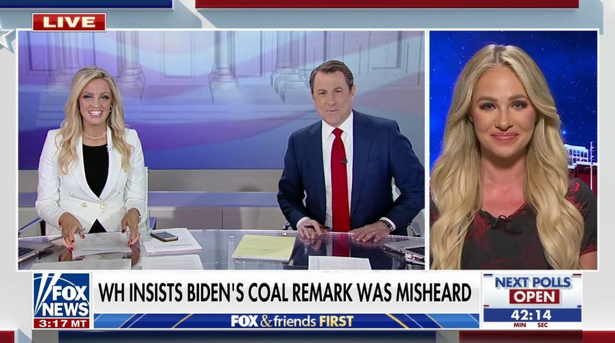 Tomi Lahren rips White House for claiming Biden's coal remark was misheard: 'I heard him loud and clear'