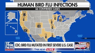 Dr. Marc Siegel on bird flu: ‘California worries me’ due to spread of disease in cattle - Fox News