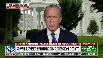 Biden adviser calls for 'balanced view' of an economy amid recession fears
