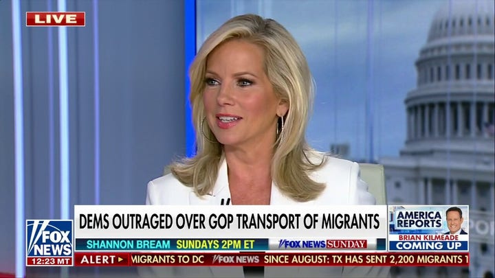 Shannon Bream: Democrats have numbers to pass immigration legislation if they wanted to