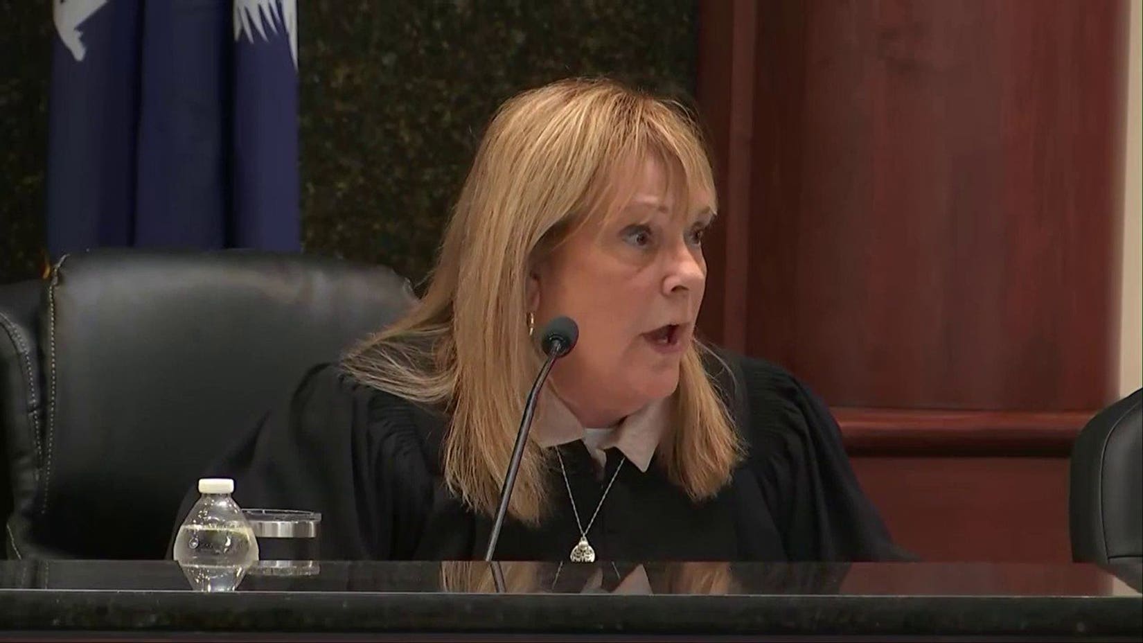Murdaugh prosecutor says rifle in Allendale shooting has no link to other crimes