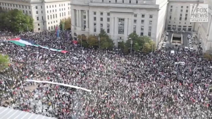 Thousands of anti-Israel protestors fill Freedom Plaza in DC