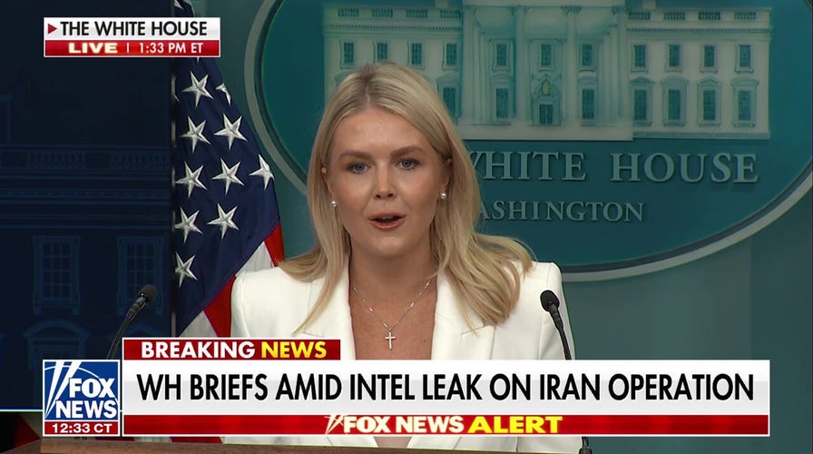 Leavitt rips CNN's Natasha Bertrand: 'She has been used by people who don't like Donald Trump'