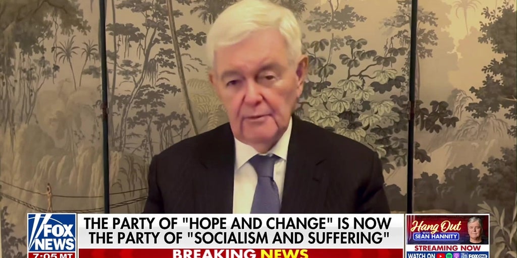 Newt Gingrich says the modern Democratic Party is becoming ‘crazy’