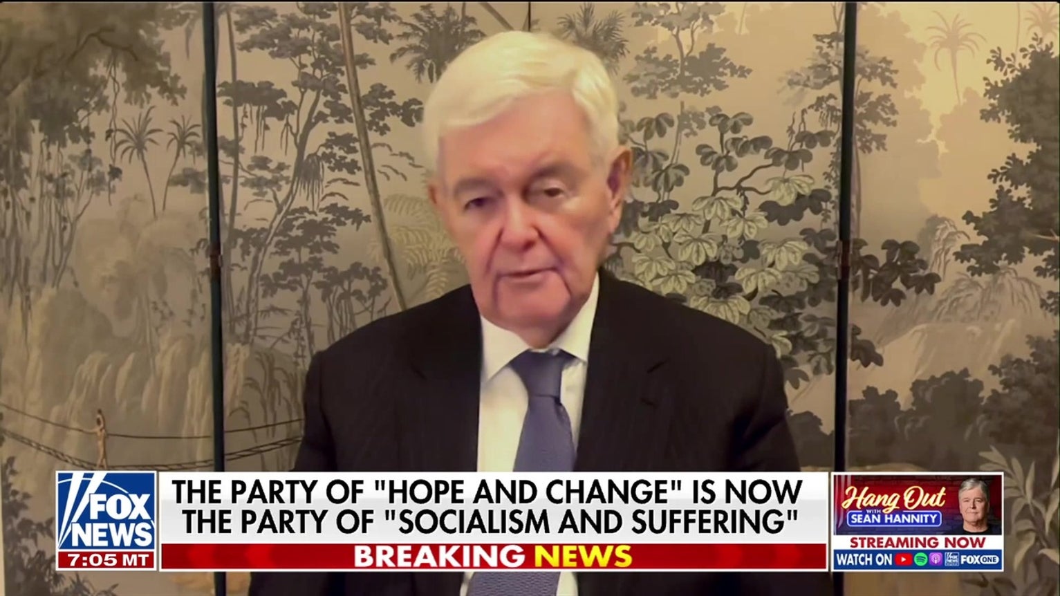 Newt Gingrich says the modern Democratic Party is becoming ‘crazy’