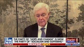 Newt Gingrich says the modern Democratic Party is becoming ‘crazy’