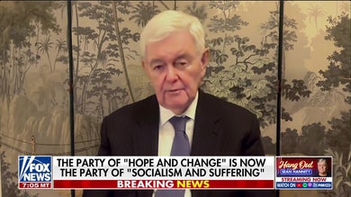 Newt Gingrich says the modern Democratic Party is becoming ‘crazy’