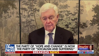Newt Gingrich says the modern Democratic Party is becoming ‘crazy’