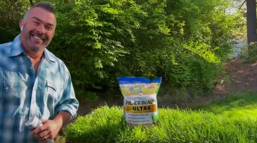 Tips to get your lawn looking its best for summer