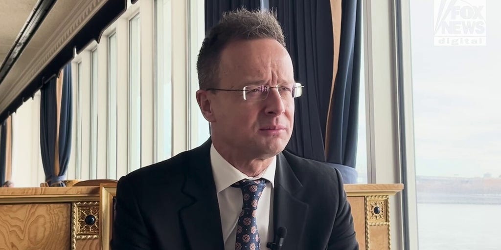 Hungarian Foreign Minister Szijjártó reacts to the controversy over USAID