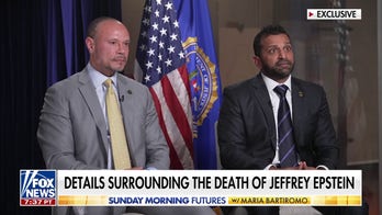 FBI deputy director on Jeffrey Epstein's death: 'He killed himself'