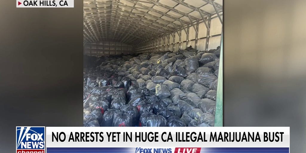 California officials seize $100 million of illegal marijuana in massive drug bust