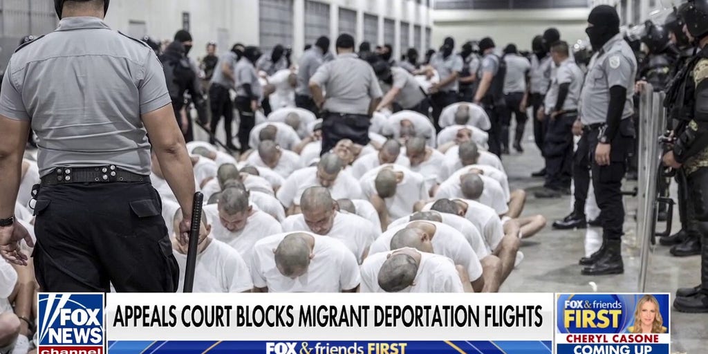 Trump will 'prevail' in deportation flight battle, former acting ICE director says