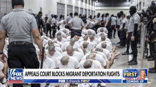 Trump will 'prevail' in deportation flight battle, former acting ICE director says