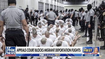 Trump will 'prevail' in deportation flight battle, former acting ICE director says