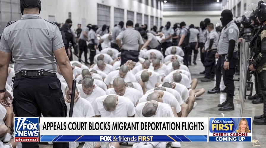 Trump will 'prevail' in deportation flight battle, former acting ICE director says
