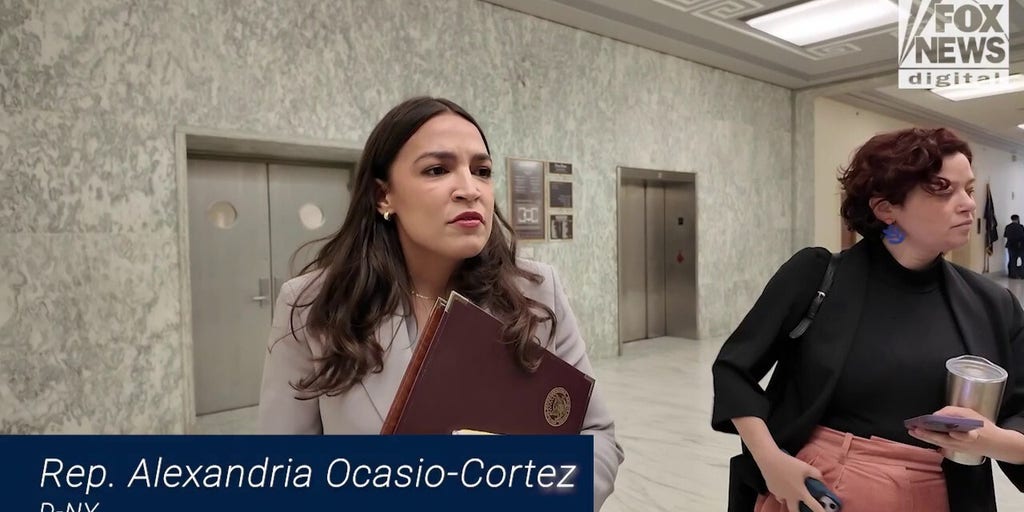 Dems Reject 'Domestic Terrorism' Label for Tesla Attacks
