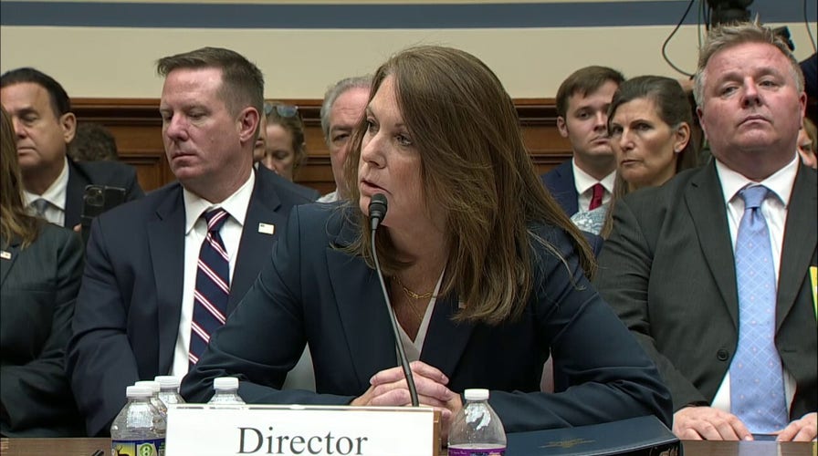 Rep. Mace says Secret Service director 'full of s---' at hearing